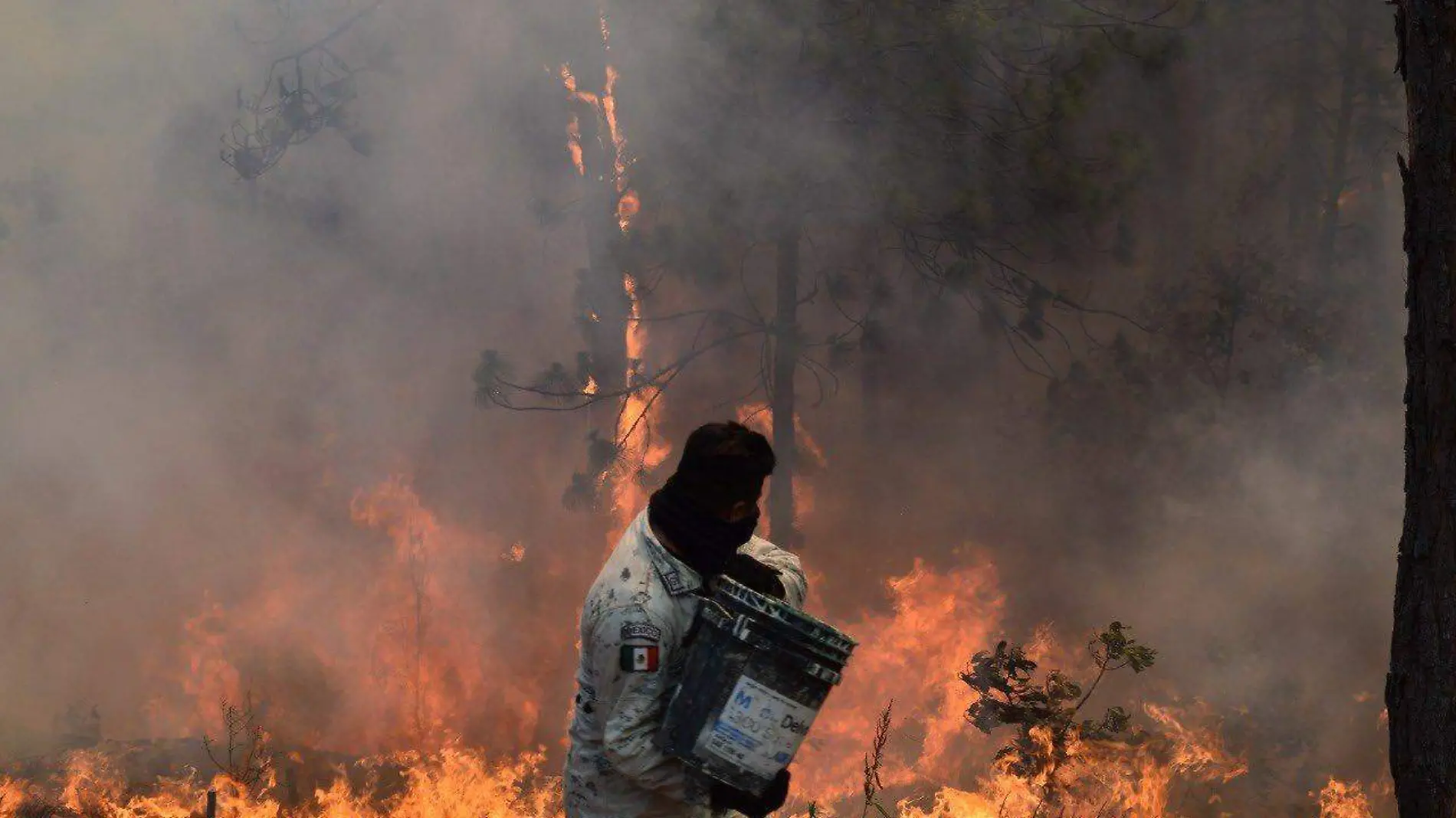 INCENDIOS_CORTESIA COFOM 1